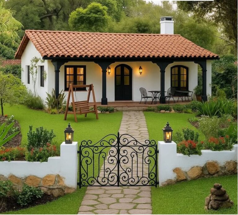 WhatsApp Image 2026-01-31 at 12.21